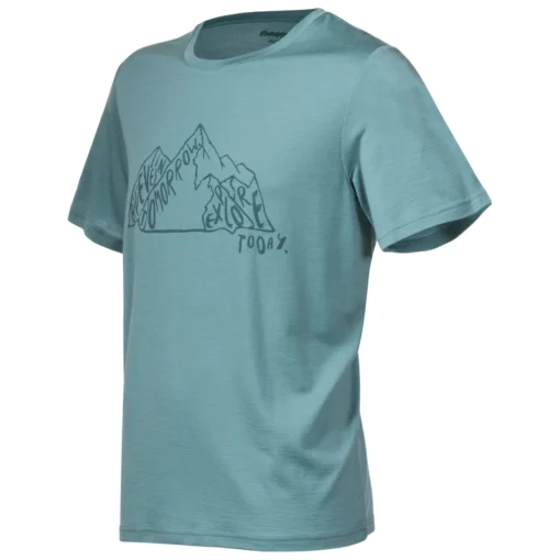 Bergans Graphic Wool Tee - T-Shirt -Kletterausrüstung bergans graphic wool tee t shirt detail 2